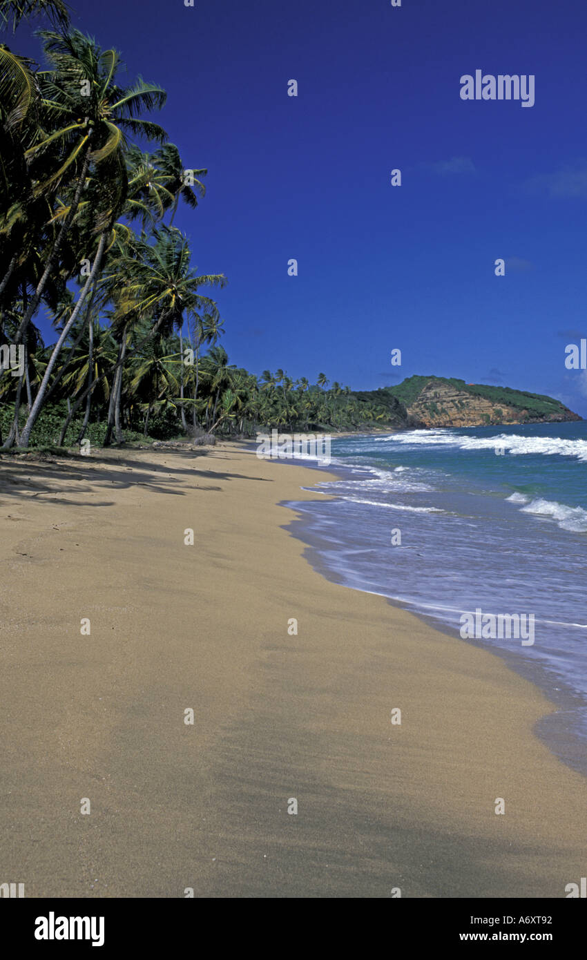 Karibik, Grenada, Nordosten. Einsamer Strand am Atlantik. Stockfoto
