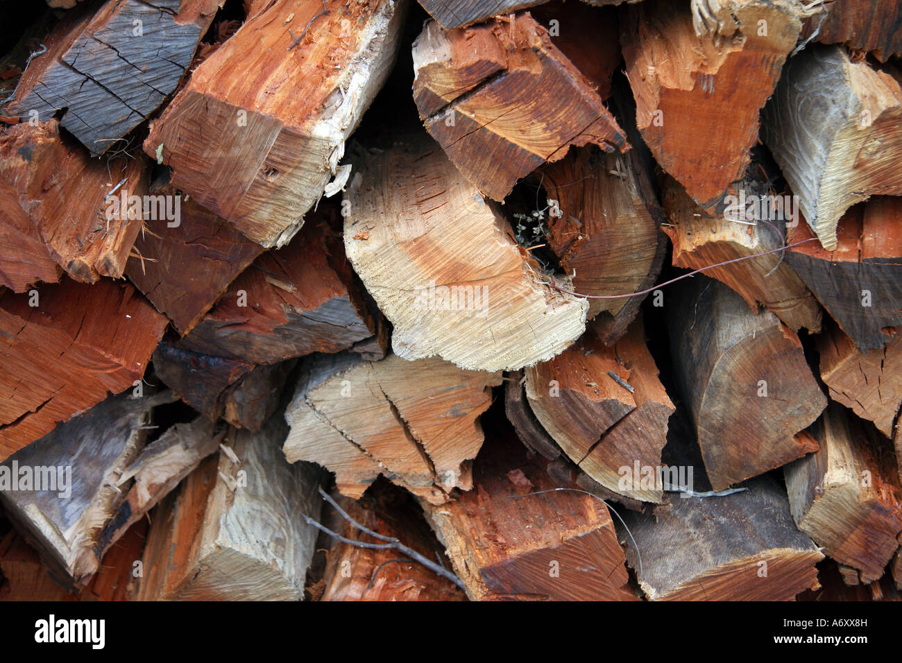 Nahaufnahme von Brennholz-Stapel. Stockfoto