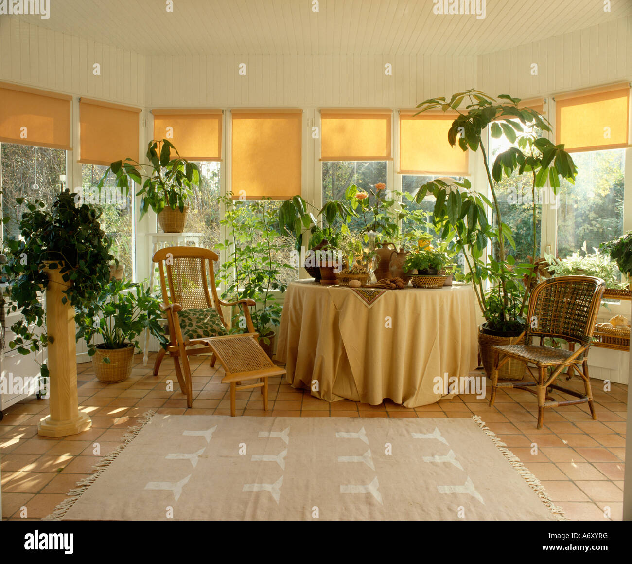 Gelbe Vorhänge am Fenster des Wintergarten mit Liege und Zimmerpflanzen und Sahne Teppich Stockfoto