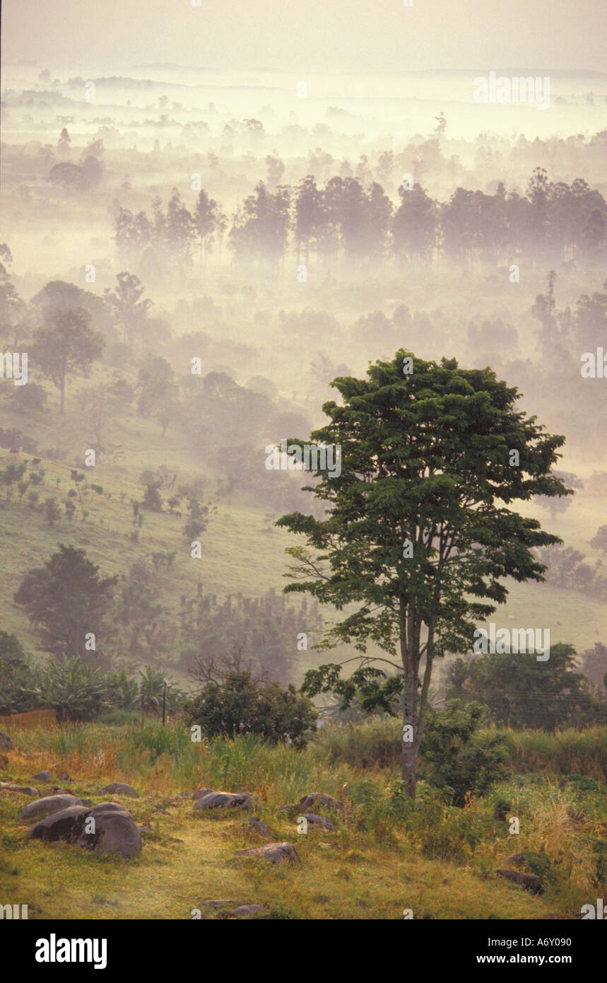 Uganda-Nebel steigt über Toro Wildpark im Morgengrauen Stockfoto