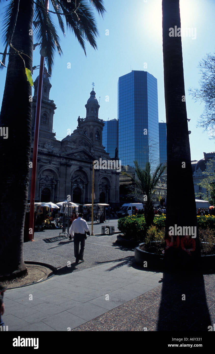 Kathedrale von Palmen in der Plaza de Armas Santiago Chile gesehen Stockfoto