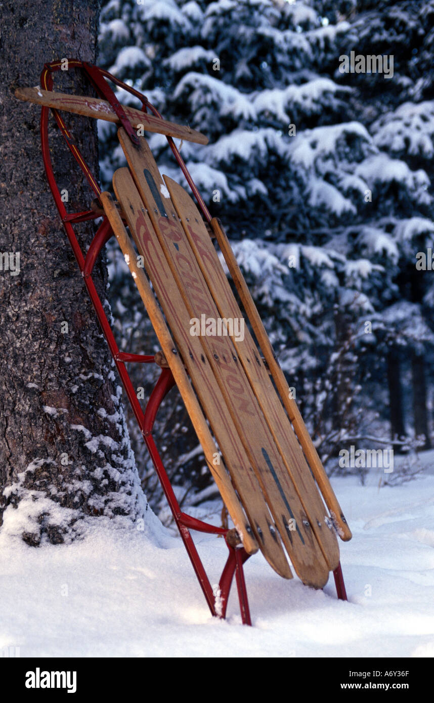 Holzschlitten stützte sich auf Baum Winter Anchorage SC AK Polaroid Transfer Stockfoto