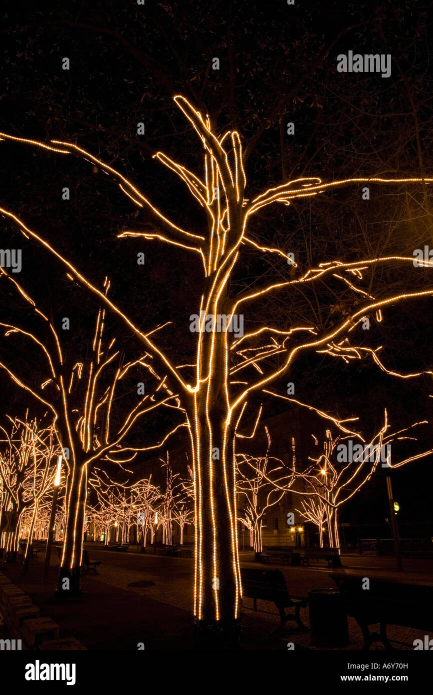Boulevard mit beleuchteten Bäumen Berlin Deutschland Stockfoto