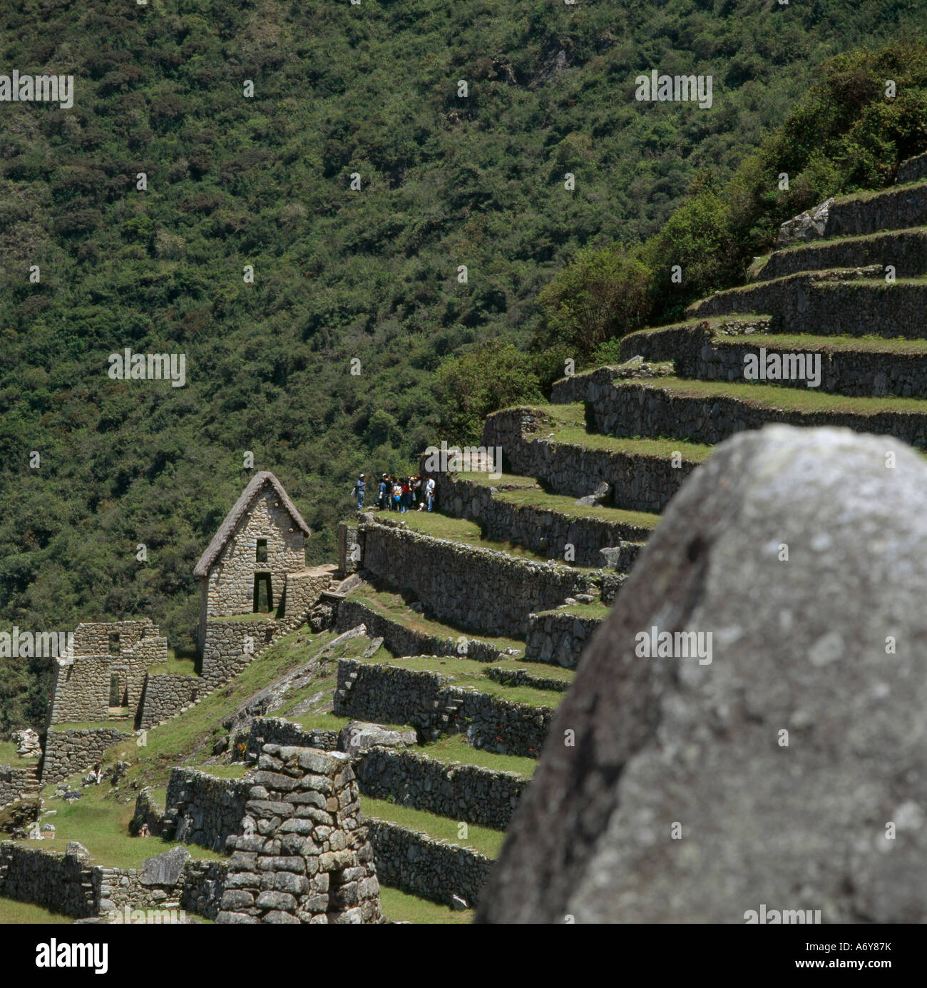 Ruinen in Terrassenfelder Inka trail Peru Stockfoto