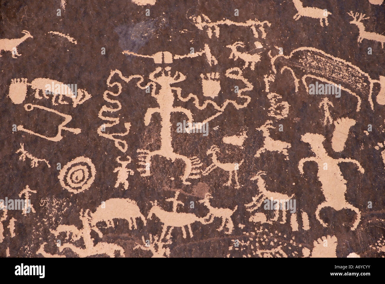 Indianische Felszeichnungen auf rote Standstone durch Kratzen entfernt dunkle Wüstenlack von Eisenoxiden Zeitung Felsen Canyonlands U gezeichnet Stockfoto