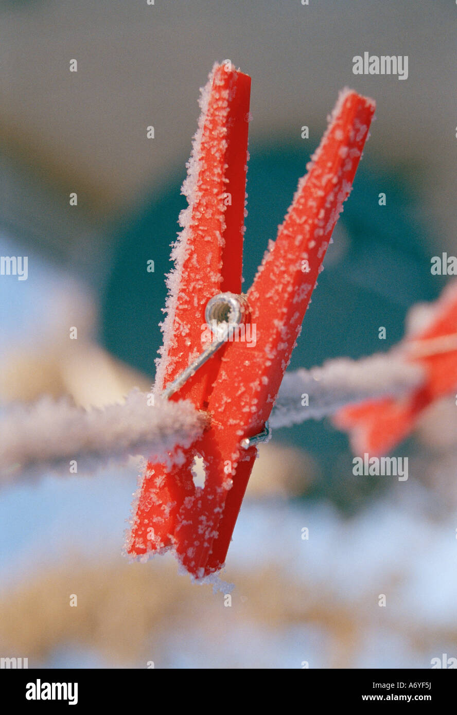 Roten Stift auf einer Wäscheleine in Frost bedeckt Stockfoto