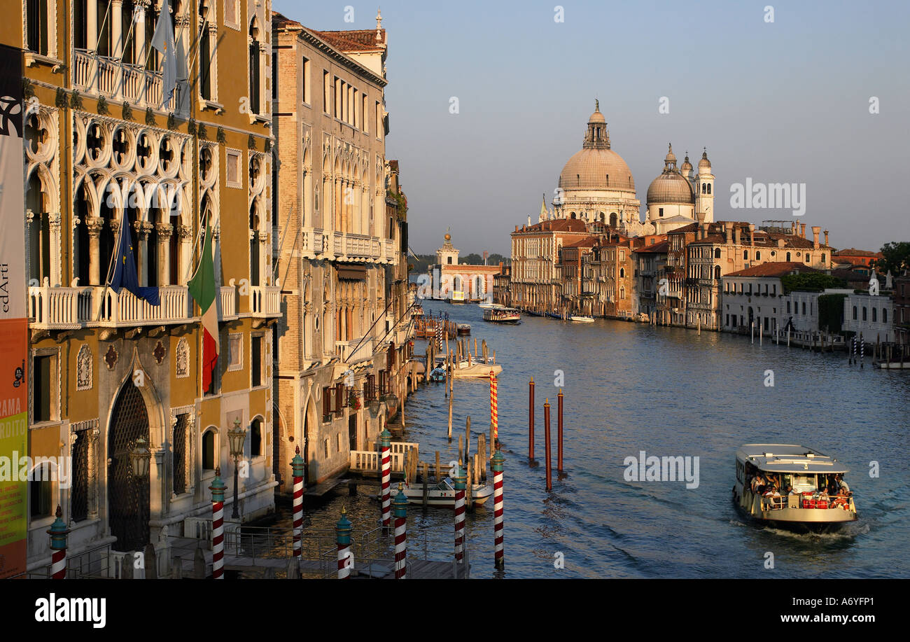 Die Kathedrale Santa Maria della Salute und den Grand Canal angesehen von der Academia Brücke in Venedig Italien Stockfoto