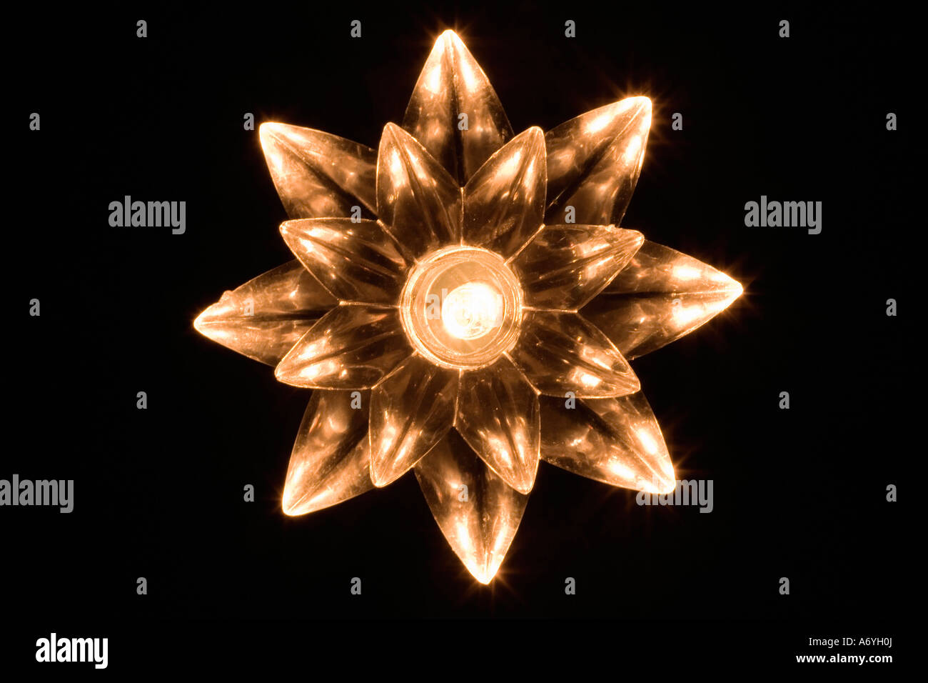 Kerze in Blume geformt Halter Stockfoto