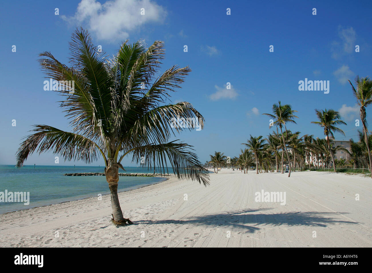 unglaubliche Aussicht Strand mühsam Küste Palm Baum Sand unendlich endlos Wasser Straße große Wasser Amerika Amerika Strand Strände Stockfoto