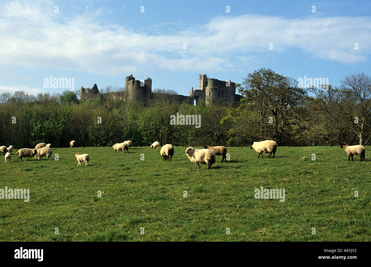 Great Britain Wales Llansteffan Burg Carmarthen Bay Stockfoto