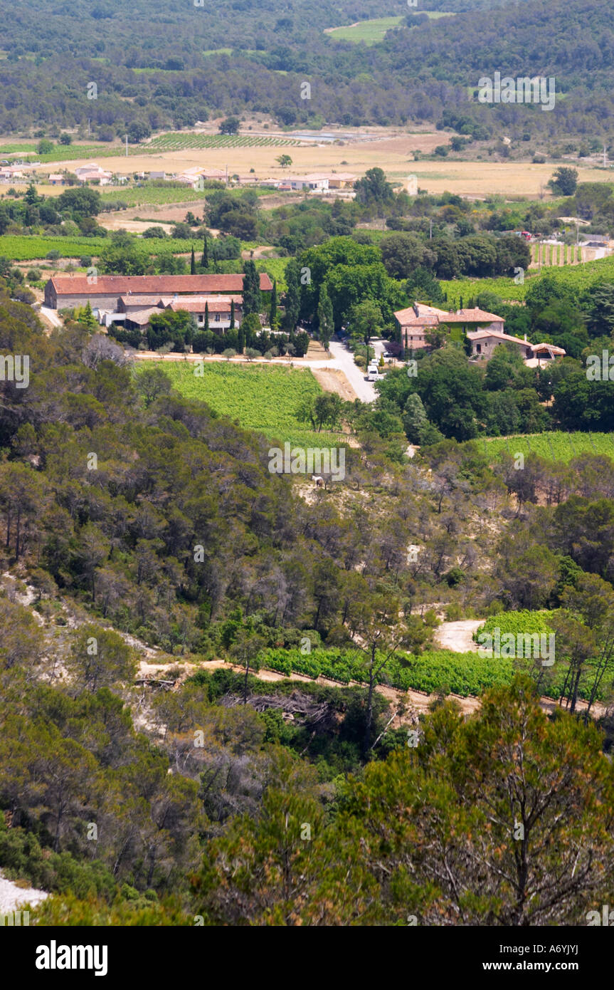 Domaine Cazeneuve in Lauret. PIC St. Loup. Languedoc. Garrigue Unterholz Vegetation mit Sträuchern und Kräutern. Die Weinkellerei. Frankreich. Europa. Weingut. Stockfoto