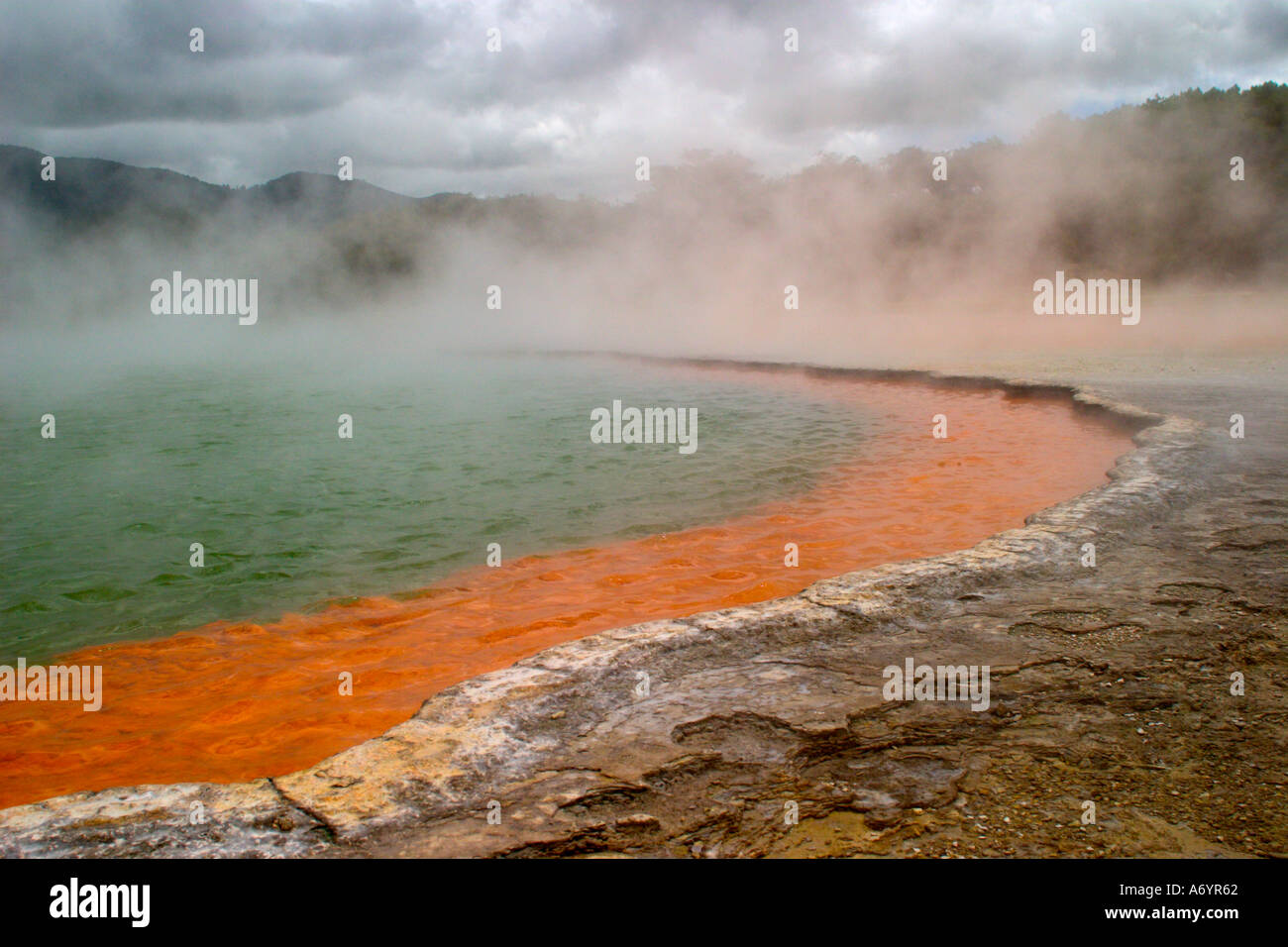 Champagne Pool Rotorua Nordinsel Neuseeland Stockfoto