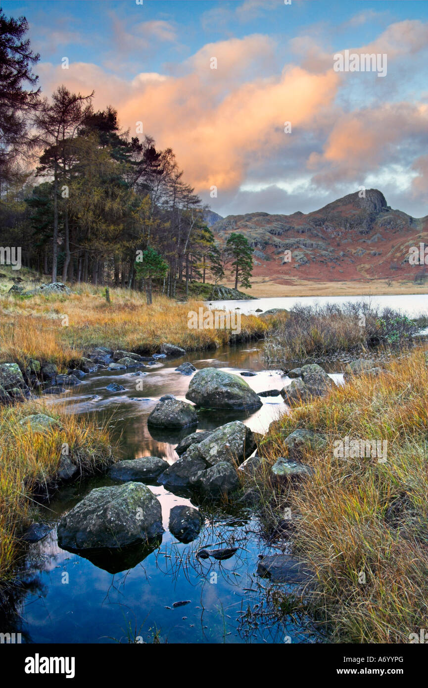 Blick über Blea Tarn in Richtung Seite Hecht spät an einem schönen Wintertag der s Cumbria, England Stockfoto