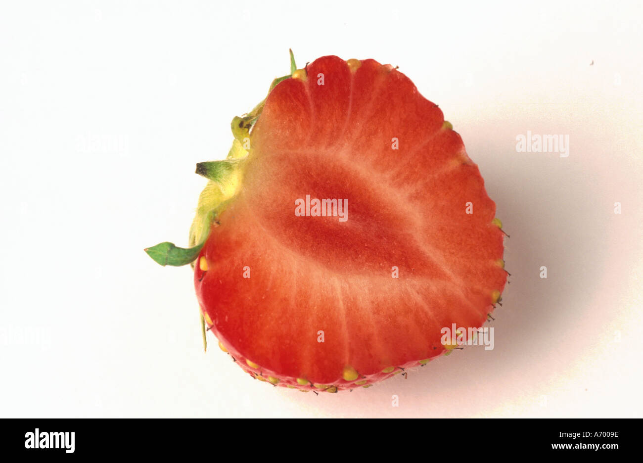 Essen Obst eine halbe Erdbeere auf weißem Grund Stockfoto