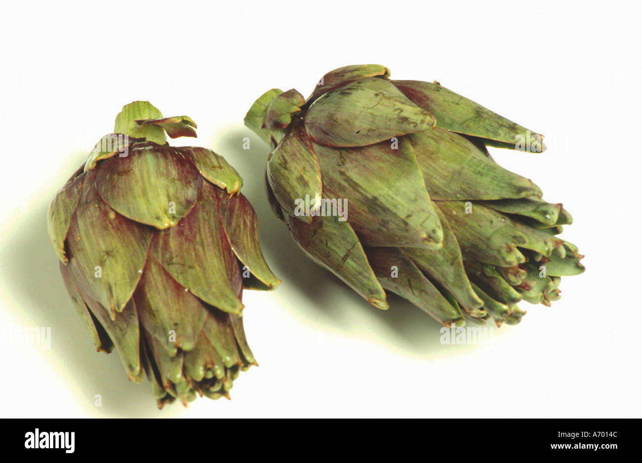 Essen Gemüse Artischocke violett Art aus der mediterranen aerea Stockfoto