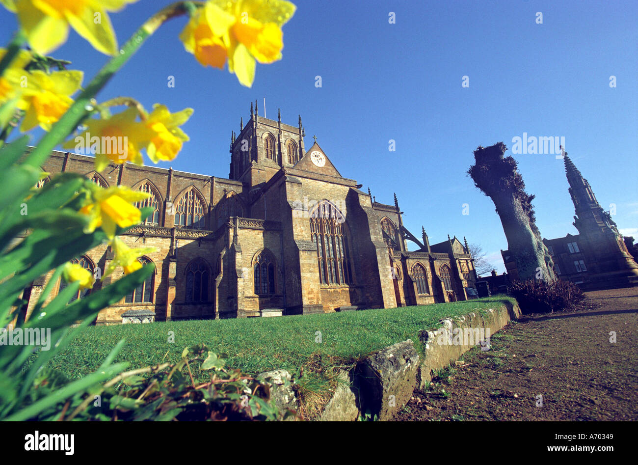 Sherborne Abtei in Dorset Stockfoto