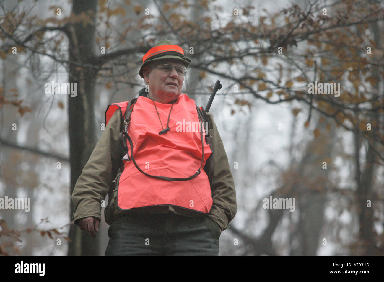 Heidelberg, DEU, 27.11.2004, Wildschwein Antrieb an der Bergstraße in der Nähe von Heidelberg. Stockfoto