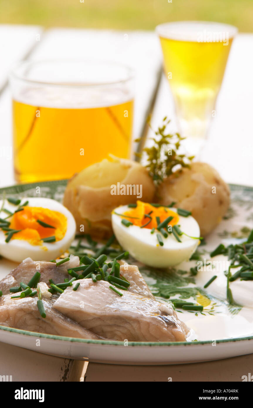 Traditionelle schwedische Sommer Mittagessen mit marinierten Hering ...
