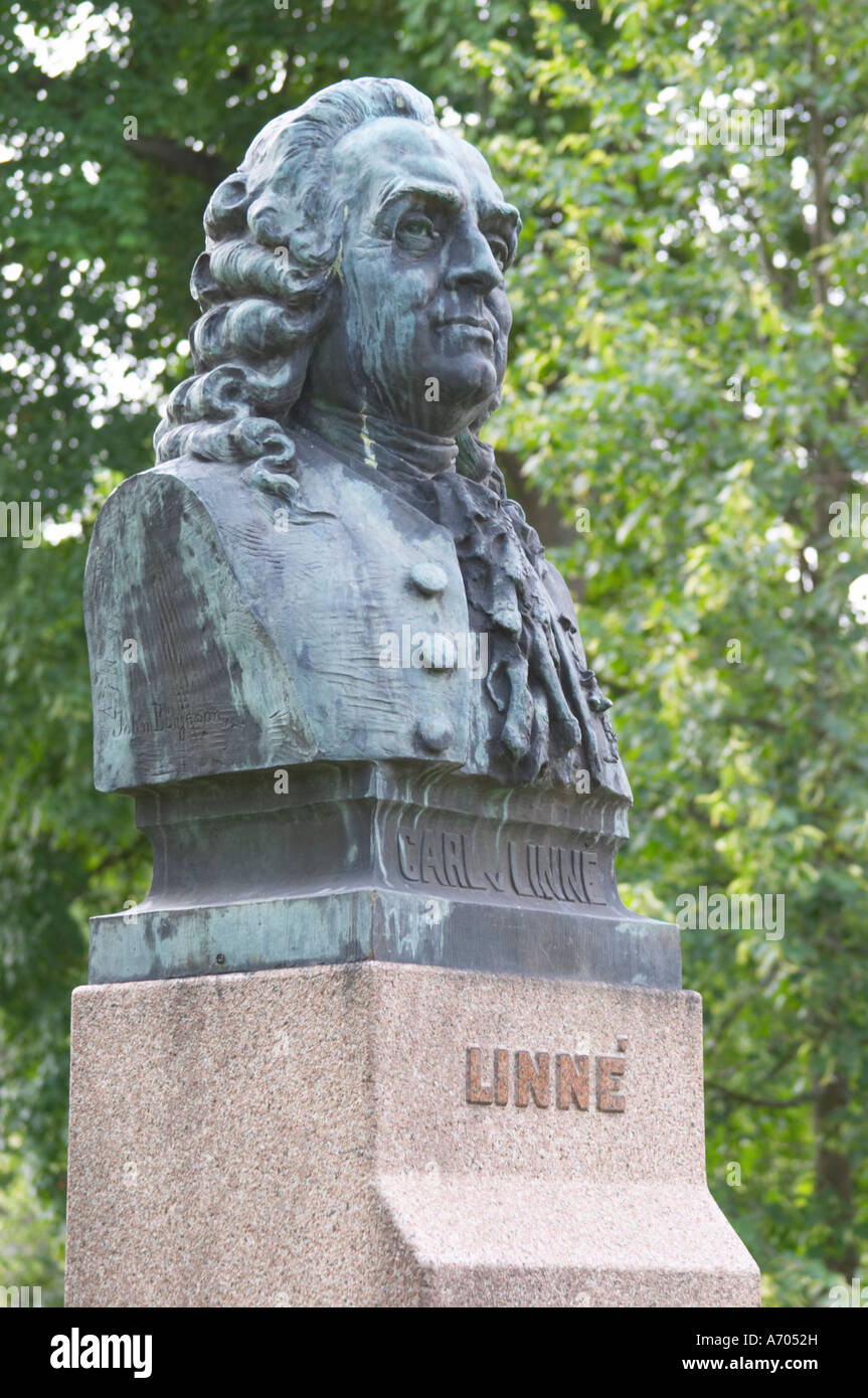 Eine Statue von Carl von Linné Linne Carolus Linnaeus in der Kathedrale