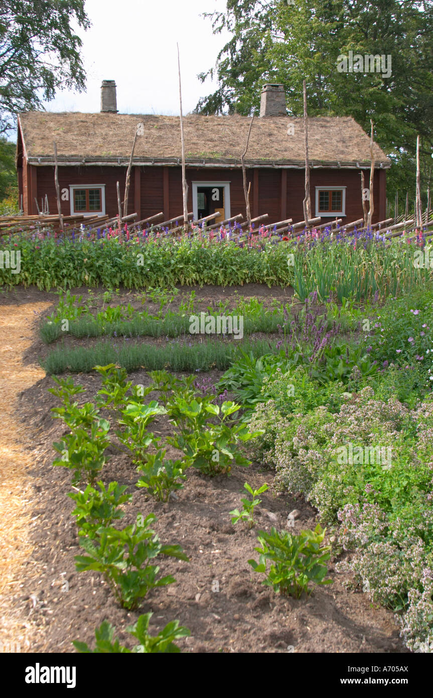 Wo Linné geboren wurde. Der Kräutergarten mit typischen Linnaeus Mal Pflanzen. Die Farm in Rashult, wo Carl von Linné geboren wurde. Smaland Region. Schweden, Europa. Stockfoto