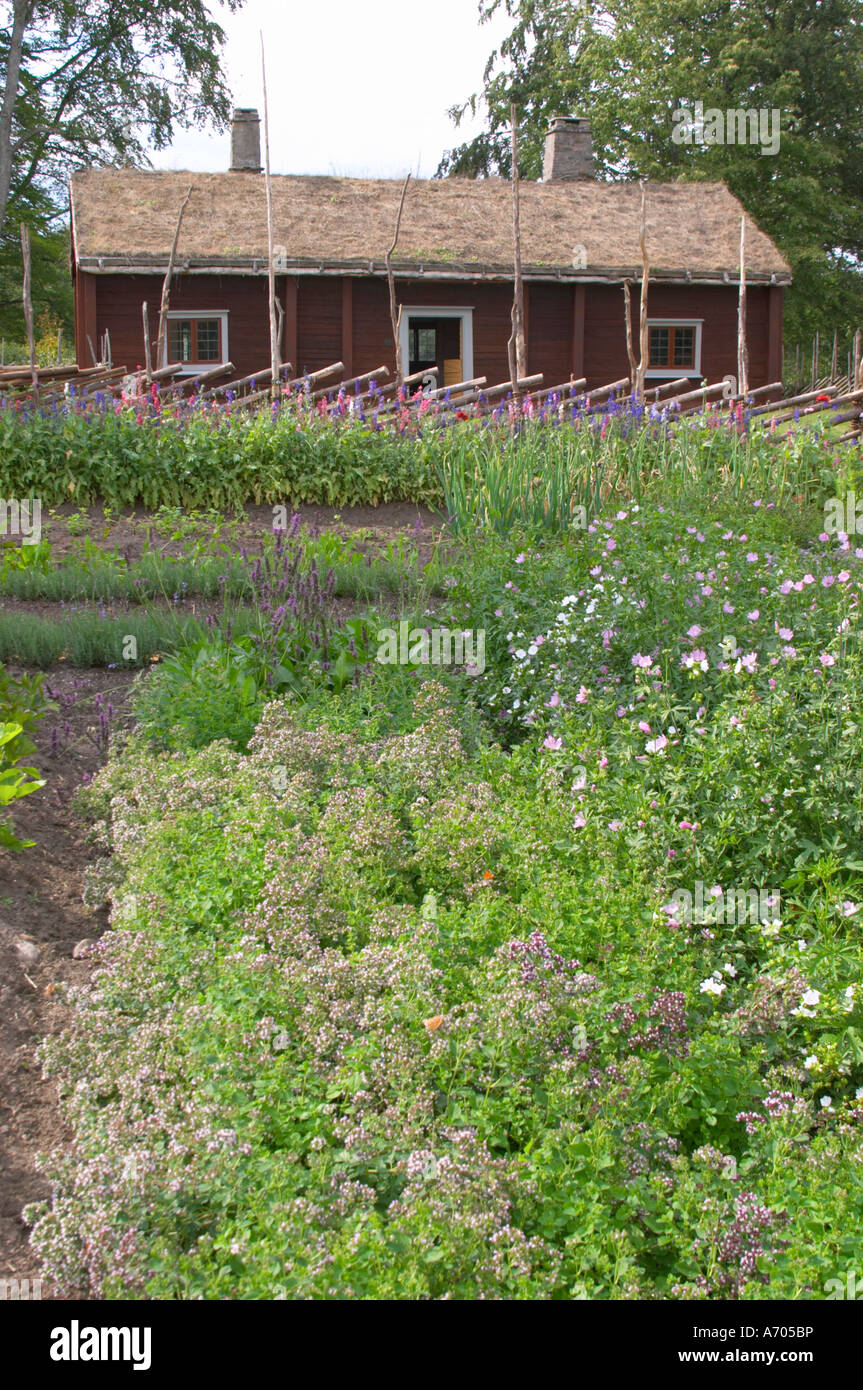 Wo Linné geboren wurde. Der Kräutergarten mit typischen Linnaeus Mal Pflanzen. Die Farm in Rashult, wo Carl von Linné geboren wurde. Stockfoto