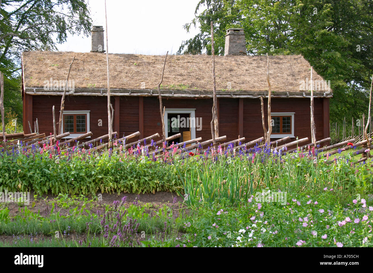 Wo Linné geboren wurde. Der Kräutergarten mit typischen Linnaeus Mal Pflanzen. Die Farm in Rashult, wo Carl von Linné geboren wurde. Smaland Region. Schweden, Europa. Stockfoto
