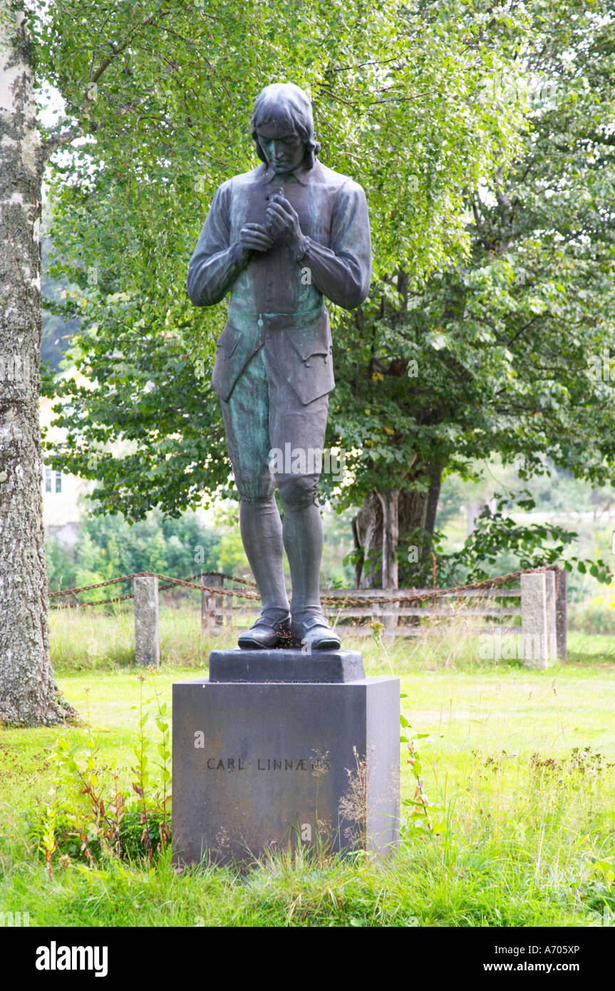 Eine Statue von Carl Linnaeus hält einen Vogel von Gerda Nietzsches stehend in den Kirchhof von Stenbrohult mit Linné Vater w Stockfoto