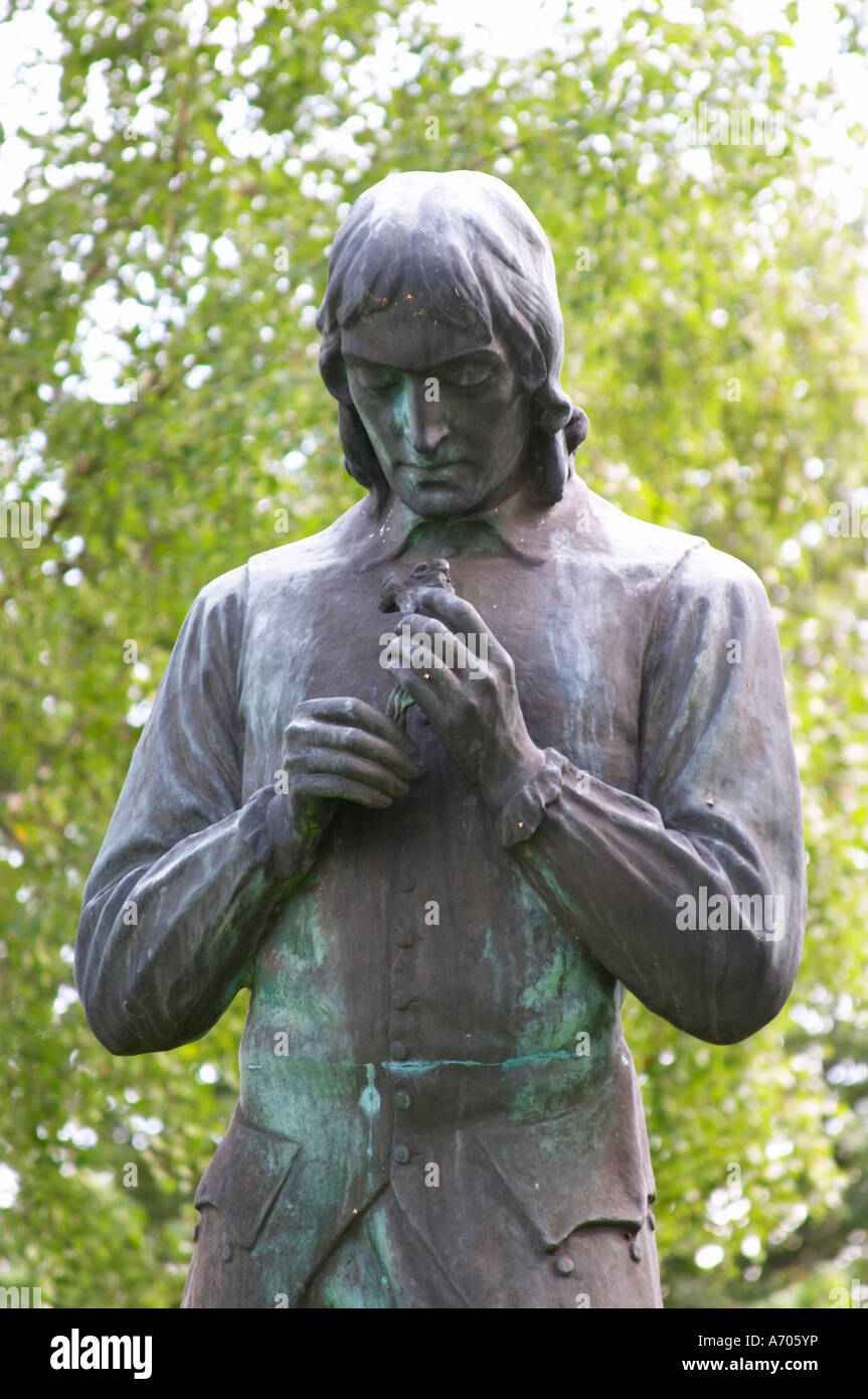Eine Statue von Carl Linnaeus hält einen Vogel von Gerda Nietzsches stehend in den Kirchhof von Stenbrohult mit Linné Vater w Stockfoto