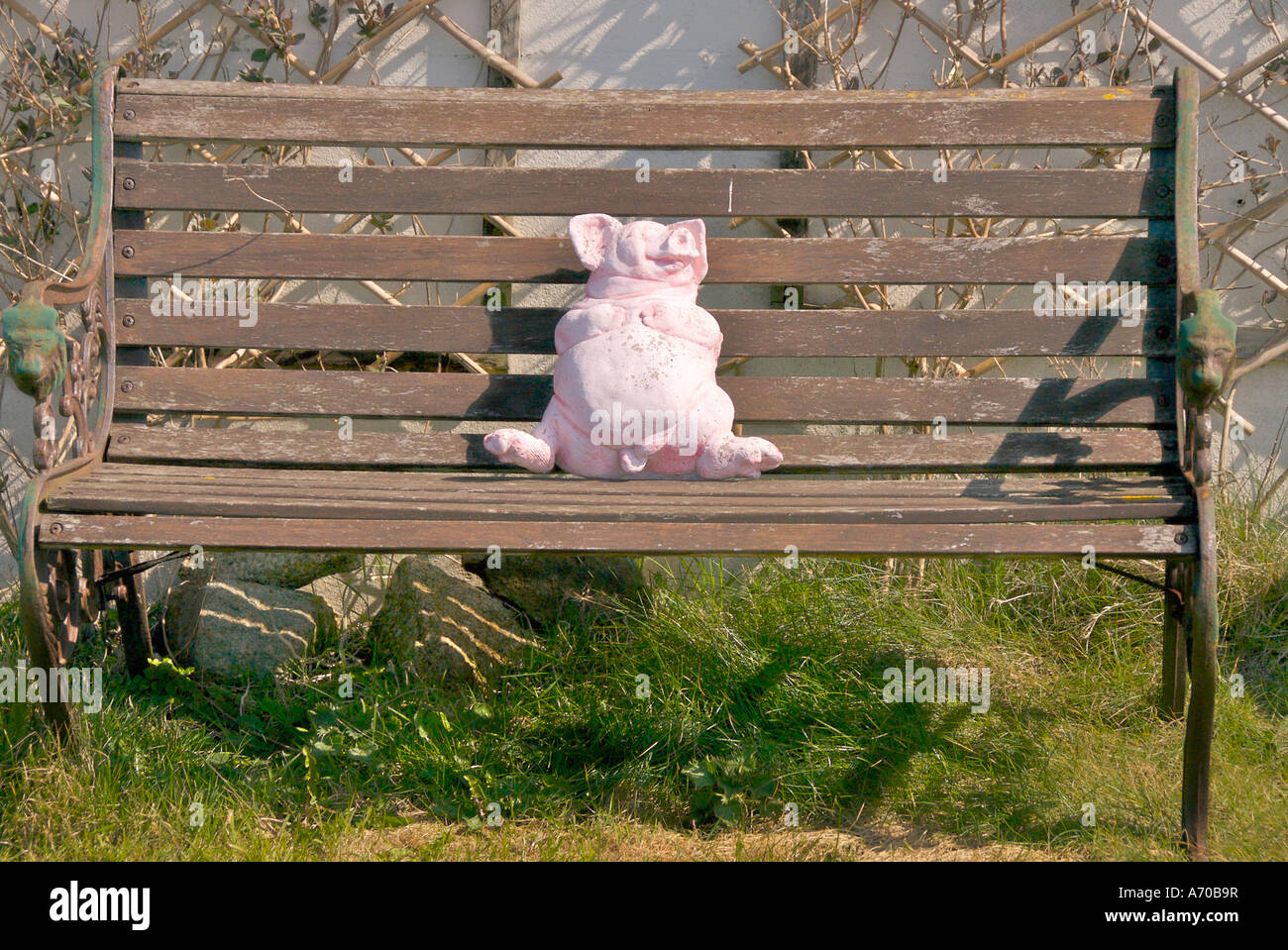 Schwein nimmt ein Nickerchen Stockfoto