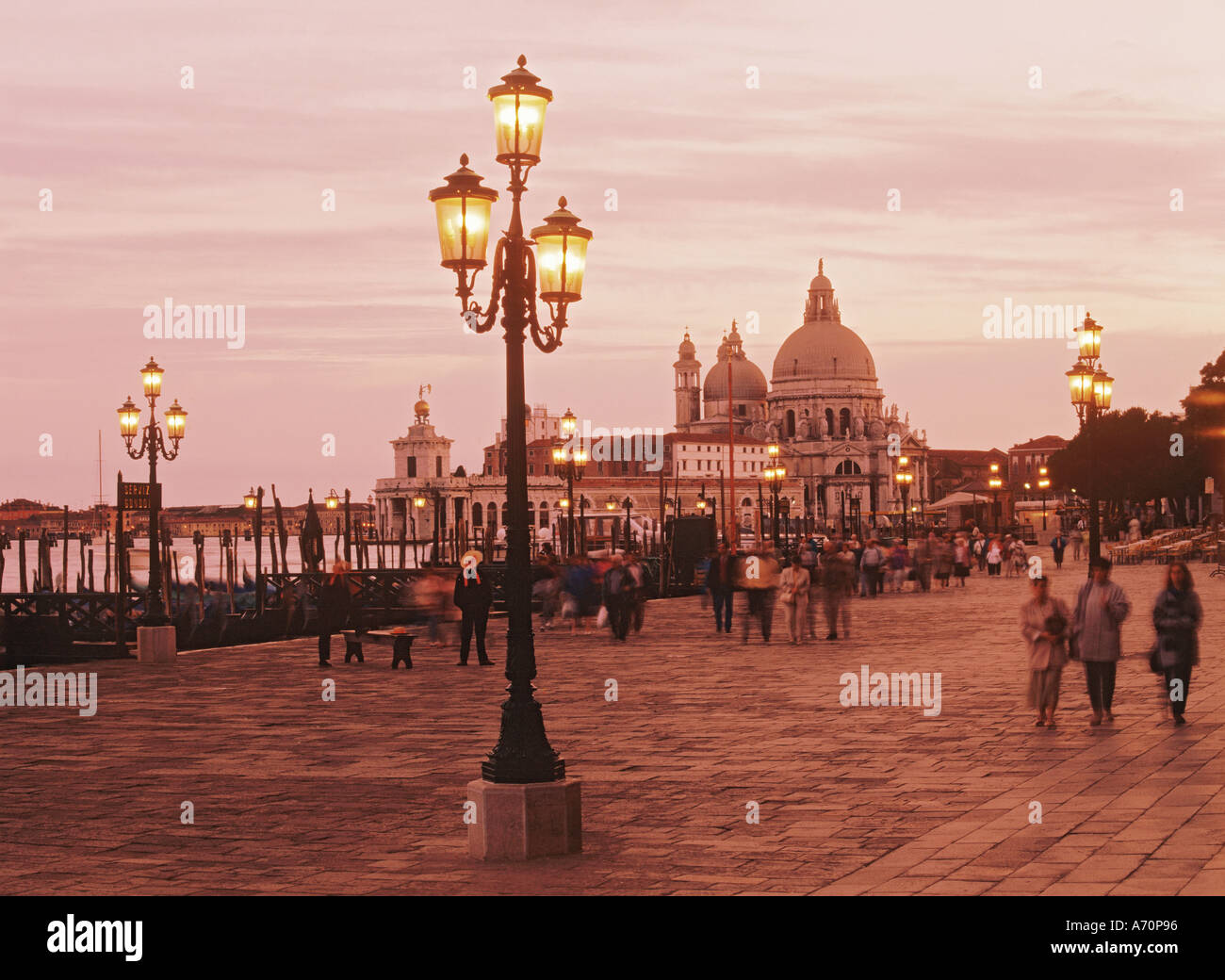 Lampen entlang St Marks Becken mit Santa Maria della Salute-Kirche in der Abenddämmerung in Venedig Stockfoto