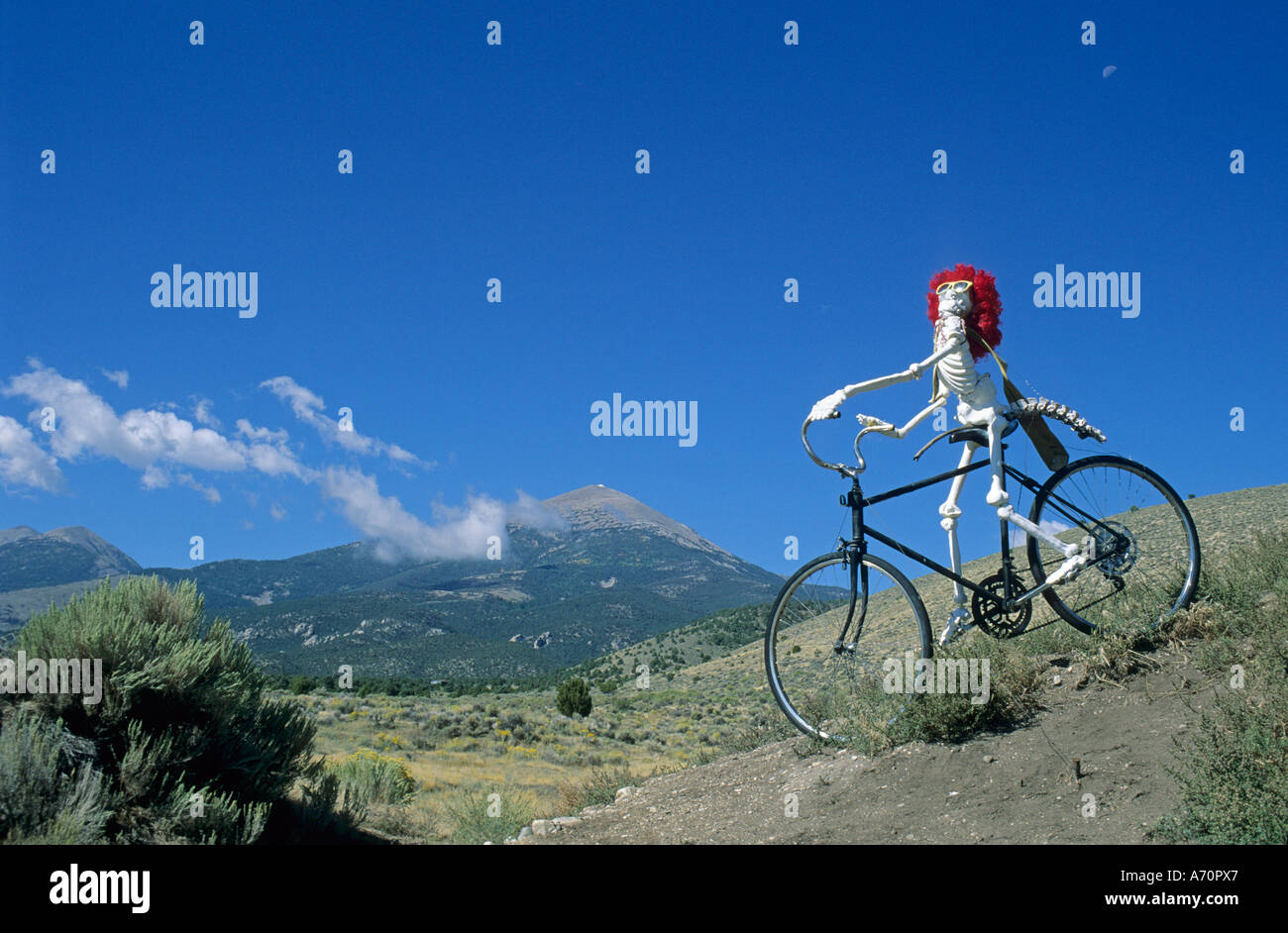 Niedrem Kunst, fleischlichem sitzen auf einem Fahrrad, Nevada, USA Stockfoto