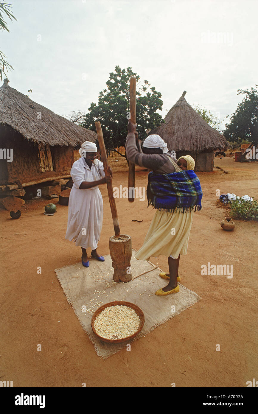 Frauen schlagen Mais für Maisbrot in Simbabwe Dorf Stockfoto