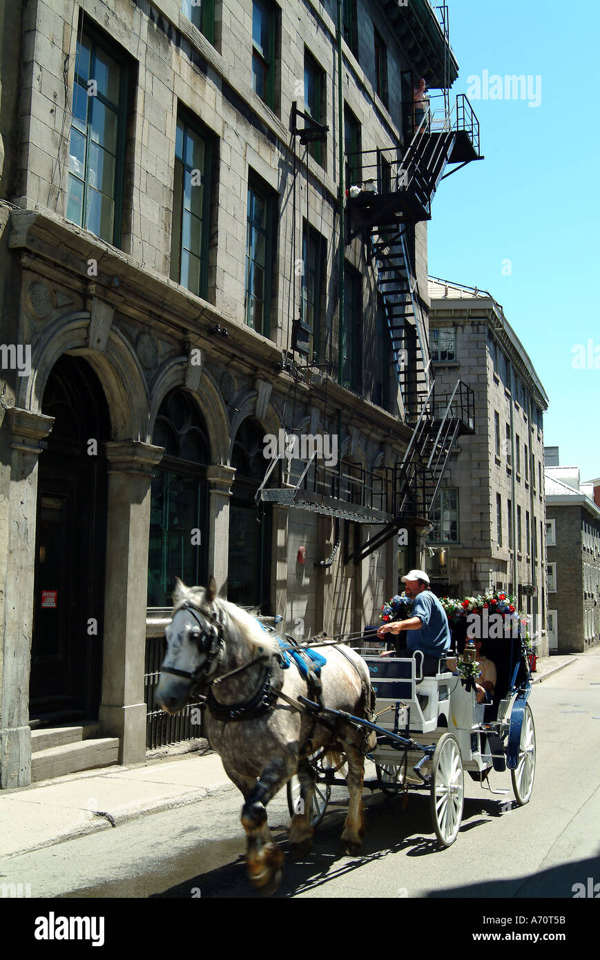 Kalesche in einer Straße von Montreal Quebec Stockfoto