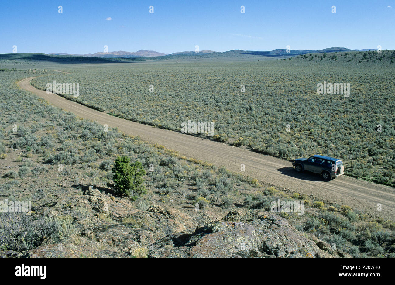 Fahrzeug auf Feldweg, historischen California Trail, Goose Creek Valley, Nevada, USA Stockfoto