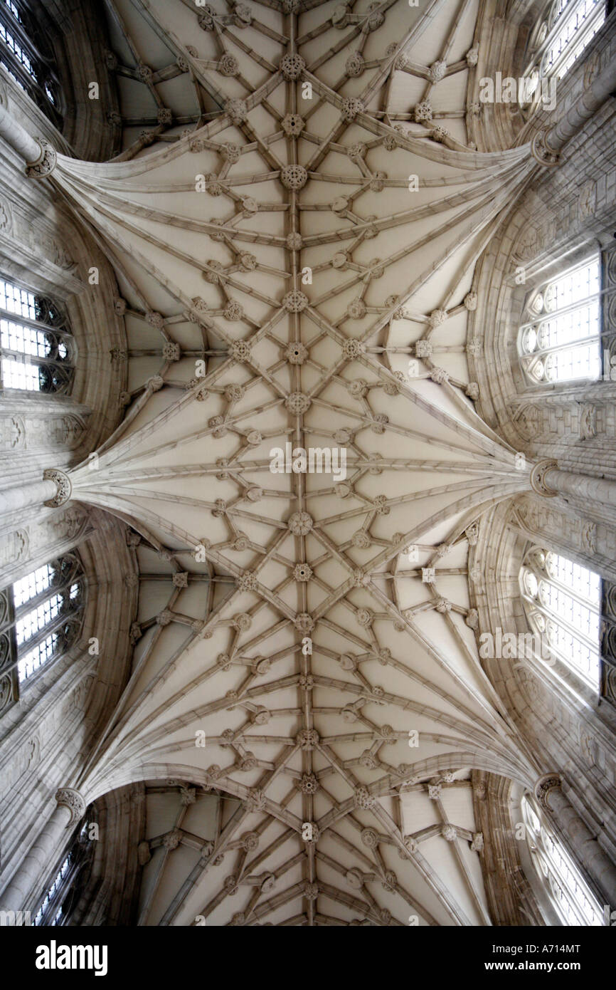 Gewölbe der Kathedrale von Winchester Stockfoto