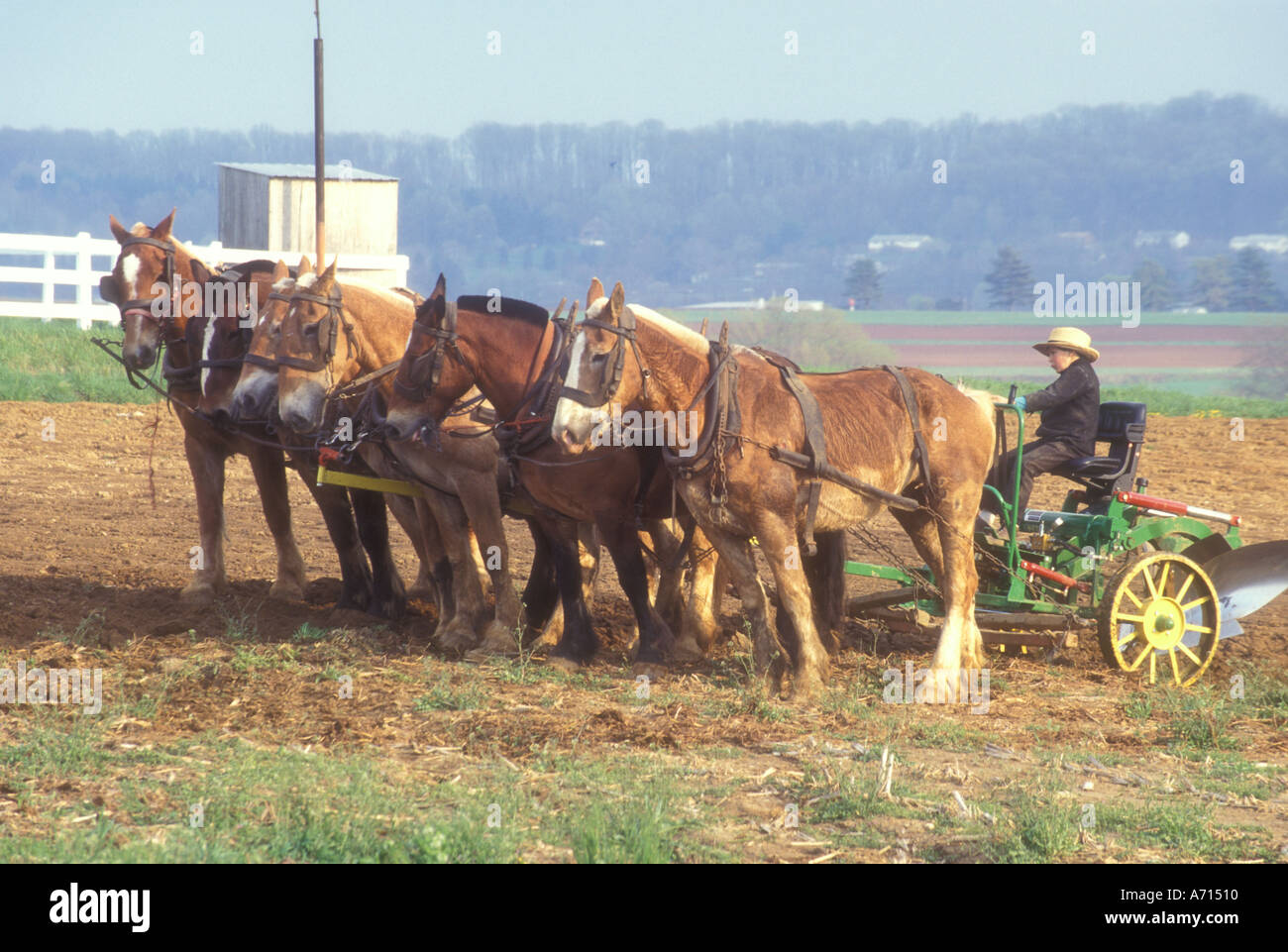 AJ1133, Pennsylvania, PA-Mid-Atlantic Stockfoto