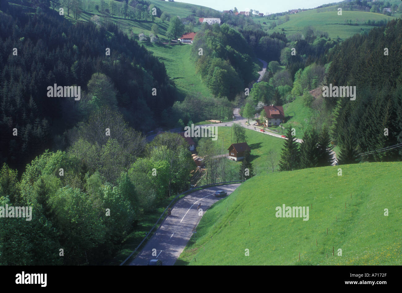 AJ1666, Europa, Deutschland, Schwarzwald Stockfoto