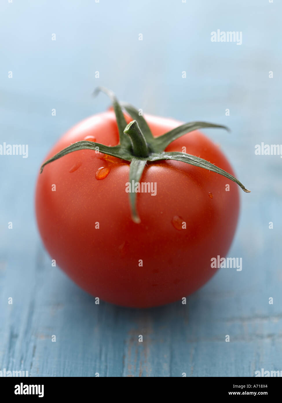 Tomaten - Schuss mit Hasselblad Profi Mittelformat-Digitalkamera Stockfoto