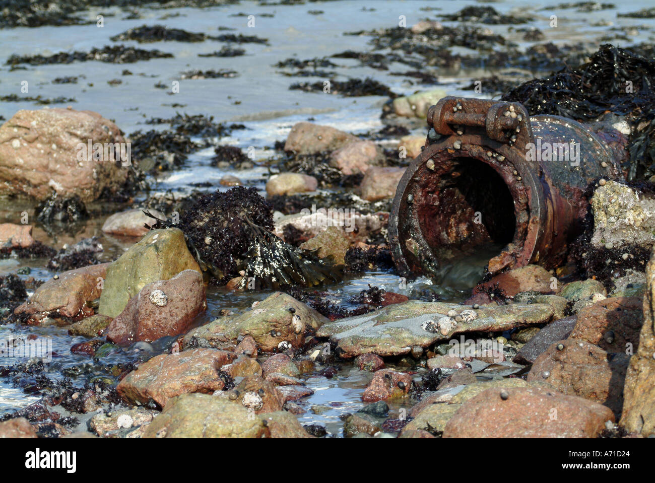Abwasserrohr Abfälle ins Meer entladen Stockfoto