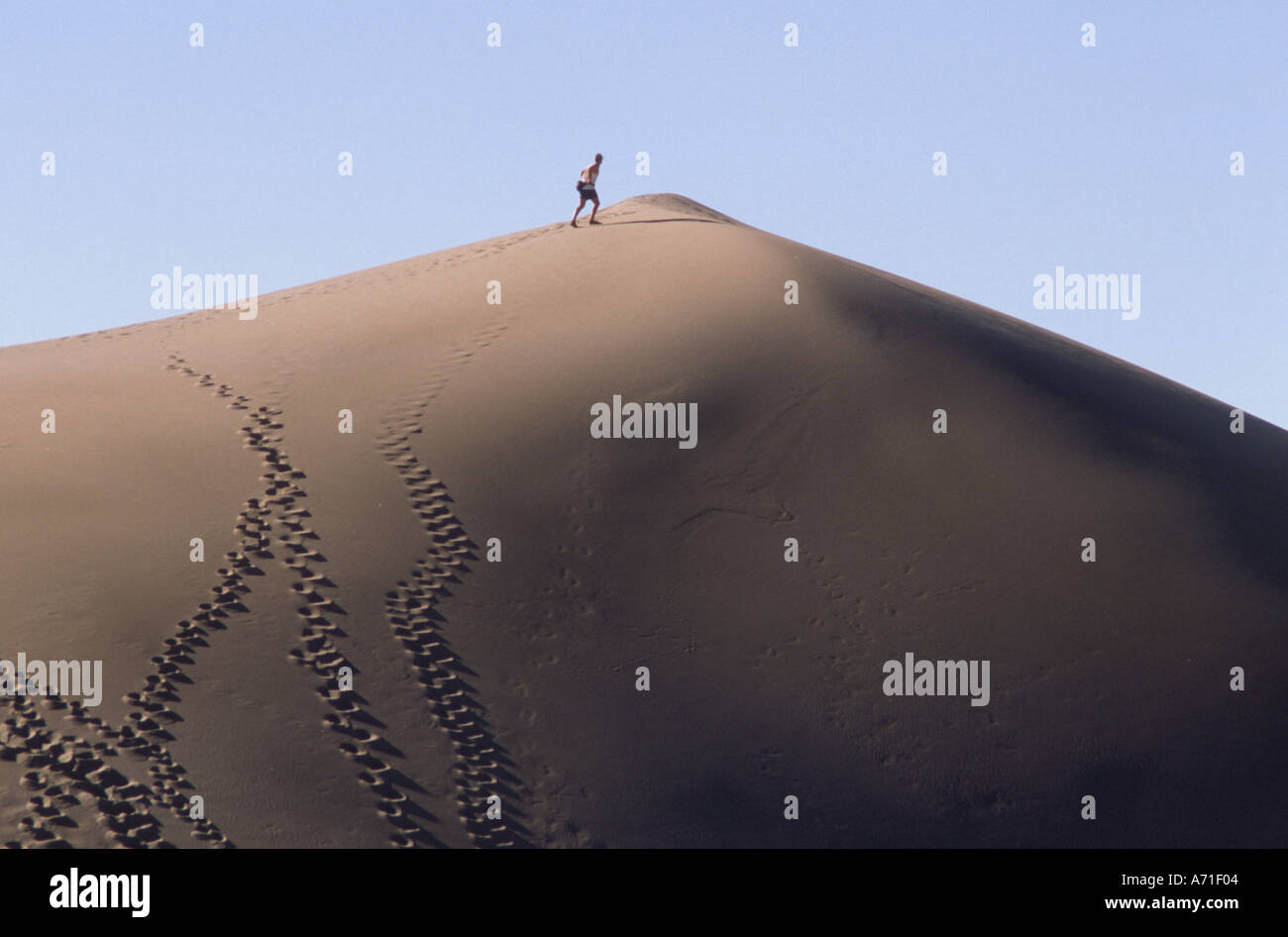 Einsamer Mann Klettern an die Spitze einer riesigen Sanddüne es sind viele neue und alte Fußabdrücke von Menschen und Tieren auf der Düne Stockfoto