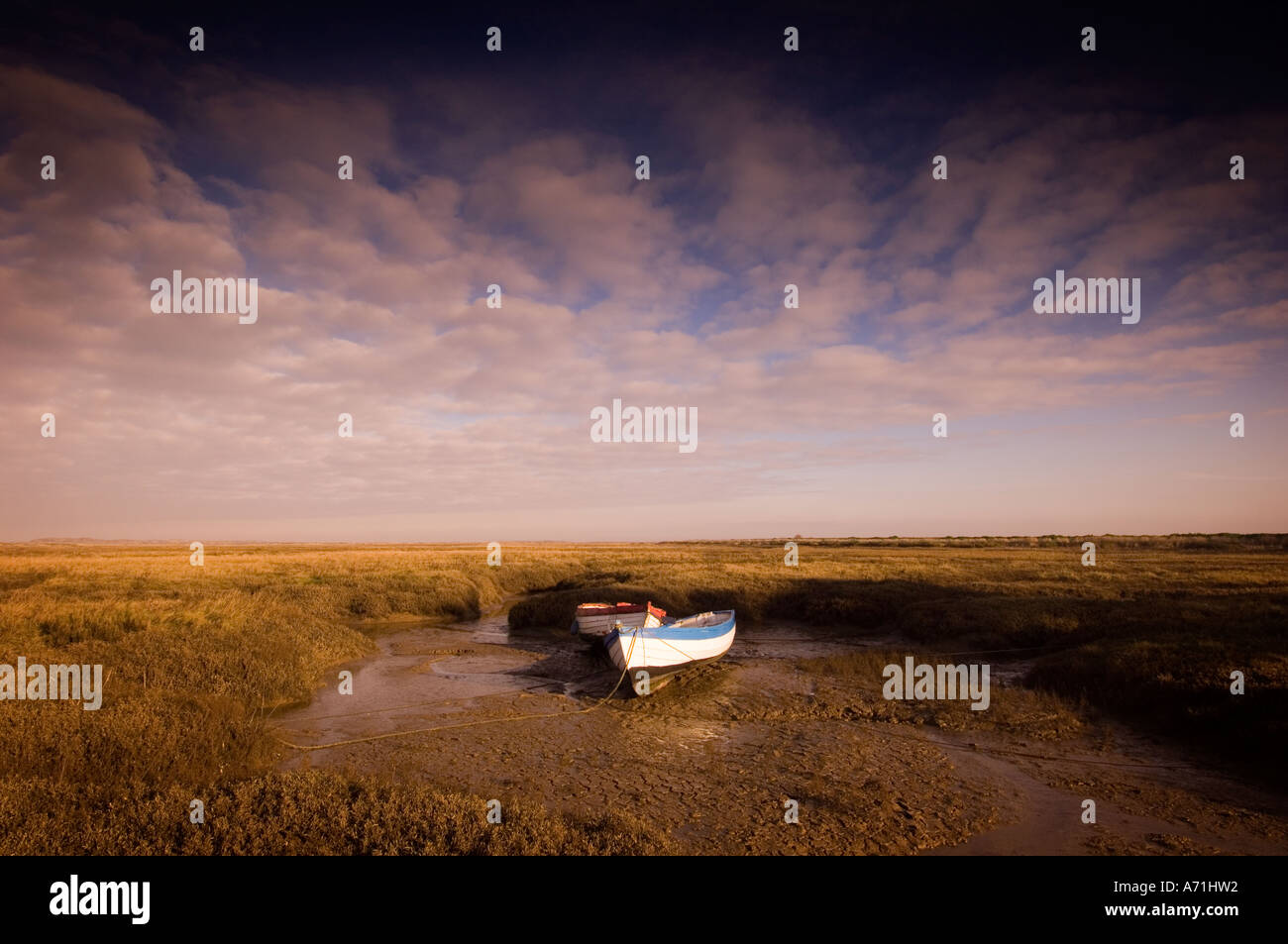 Angelboote/Fischerboote auf Sumpf an Brancaster Staithe auf North Norfolk Küste England UK Stockfoto