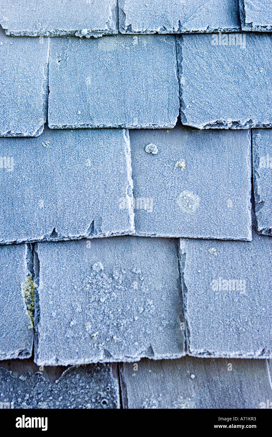 Frost bedeckt Schiefer Dachziegel Stockfoto