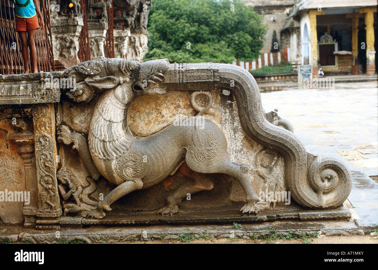 Geographie/Reise, Indien, Kanchipuram, Tamil Nadu, Hauptstadt der Pallava-Dynastie, 3. - 8. Jahrhundert n. Chr., Sri Varadaraja Perumal-Tempel, Detail, Skulptur des Fabelwesens, heilige Stadt der Hindus, Religion, hinduismus, Kunst der schönen Künste, indische Architektur, Tiere, Stein, historisch, historisch, alt, drittes, achtes, 20. Jahrhundert, Stockfoto