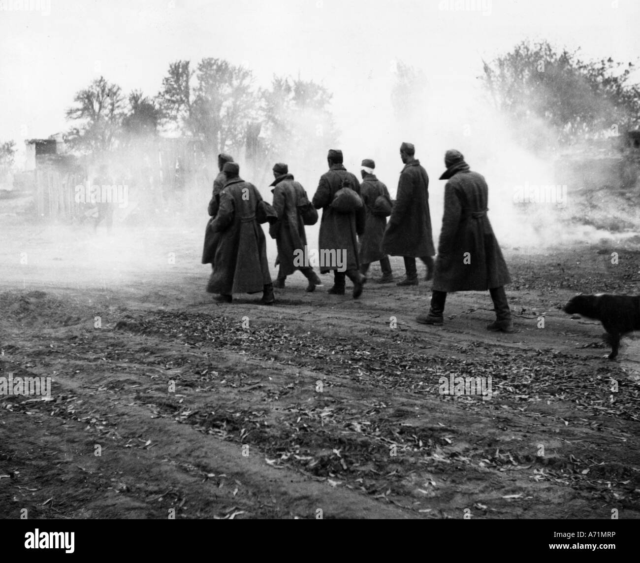 Ereignisse, Zweiter Weltkrieg/zweiter Weltkrieg, Kriegsgefangene, Russland, gefangengenommene sowjetischen Soldaten, 1941, Stockfoto