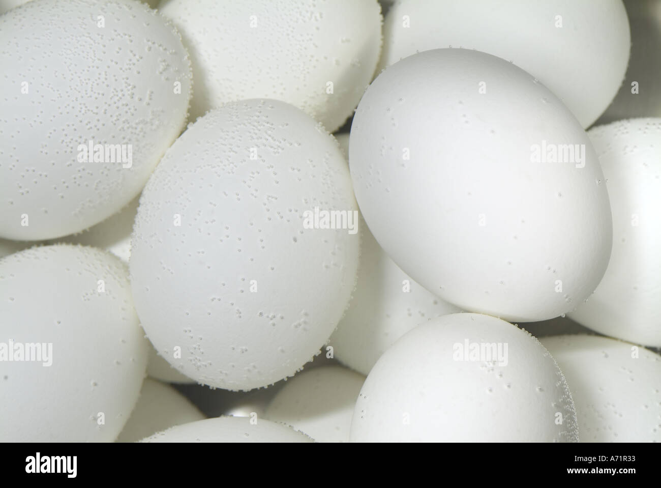 Eiern Kochen In einen Topf mit Wasser mit Luftblasen, klammerte sich an Sie Stockfoto