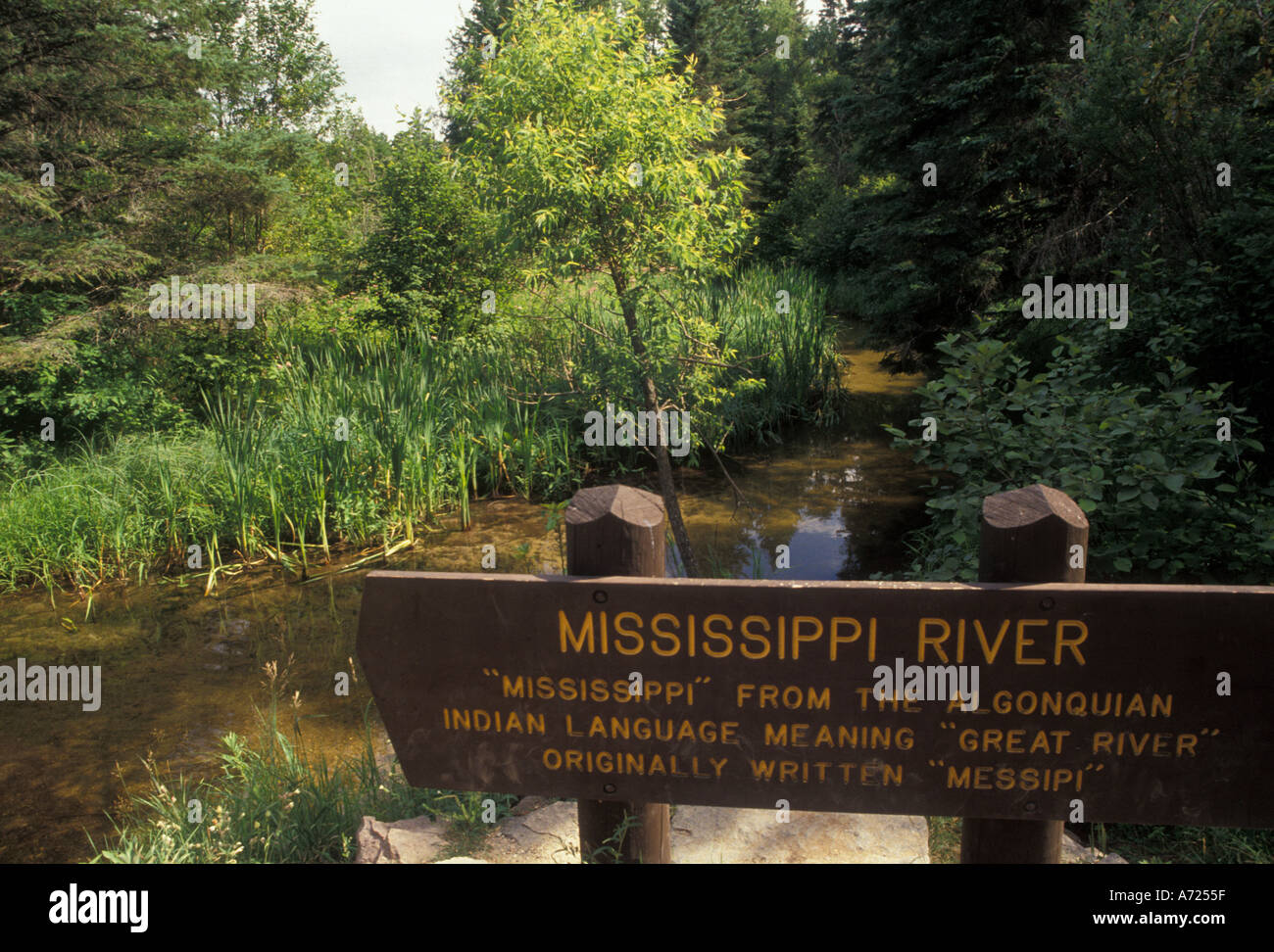 AJ2880, Minnesota, MN Stockfoto