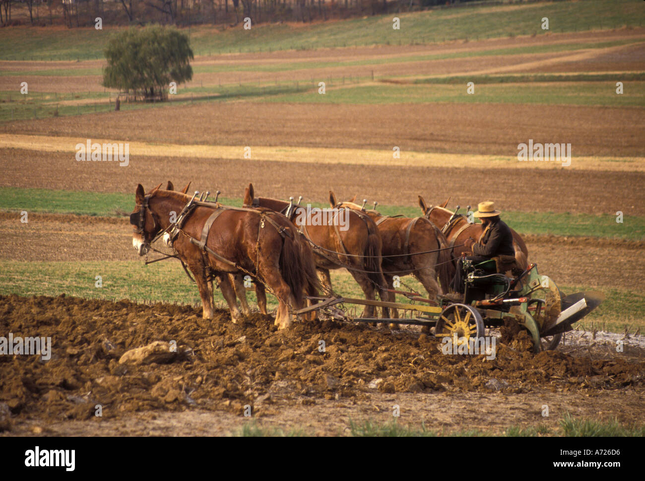 AJ3255, Pennsylvania, PA, Lancaster County Stockfoto