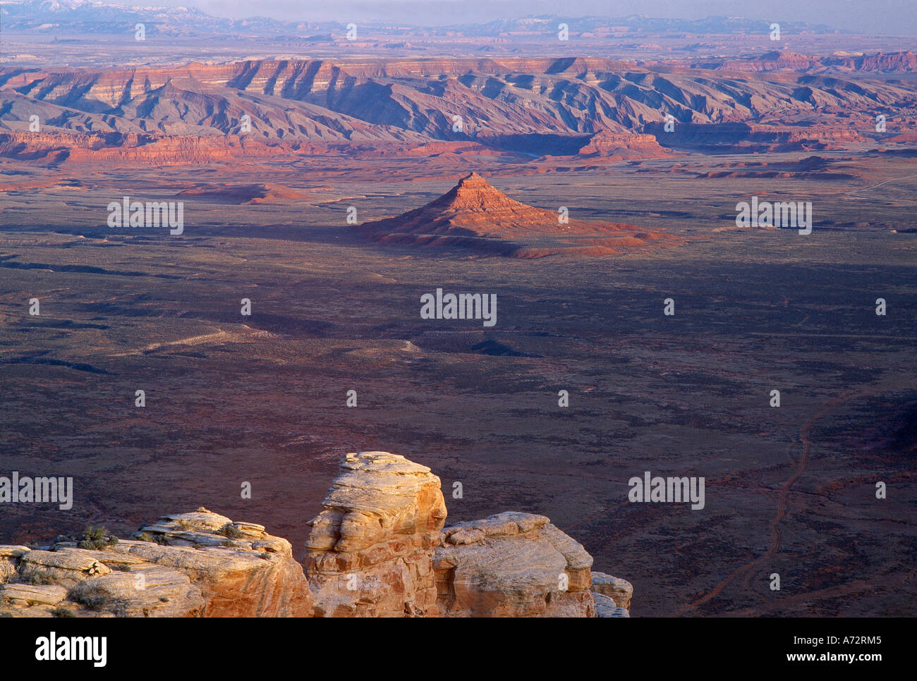 Wüstenlandschaft in der Nähe von Mexican Hat Utah USA Stockfoto