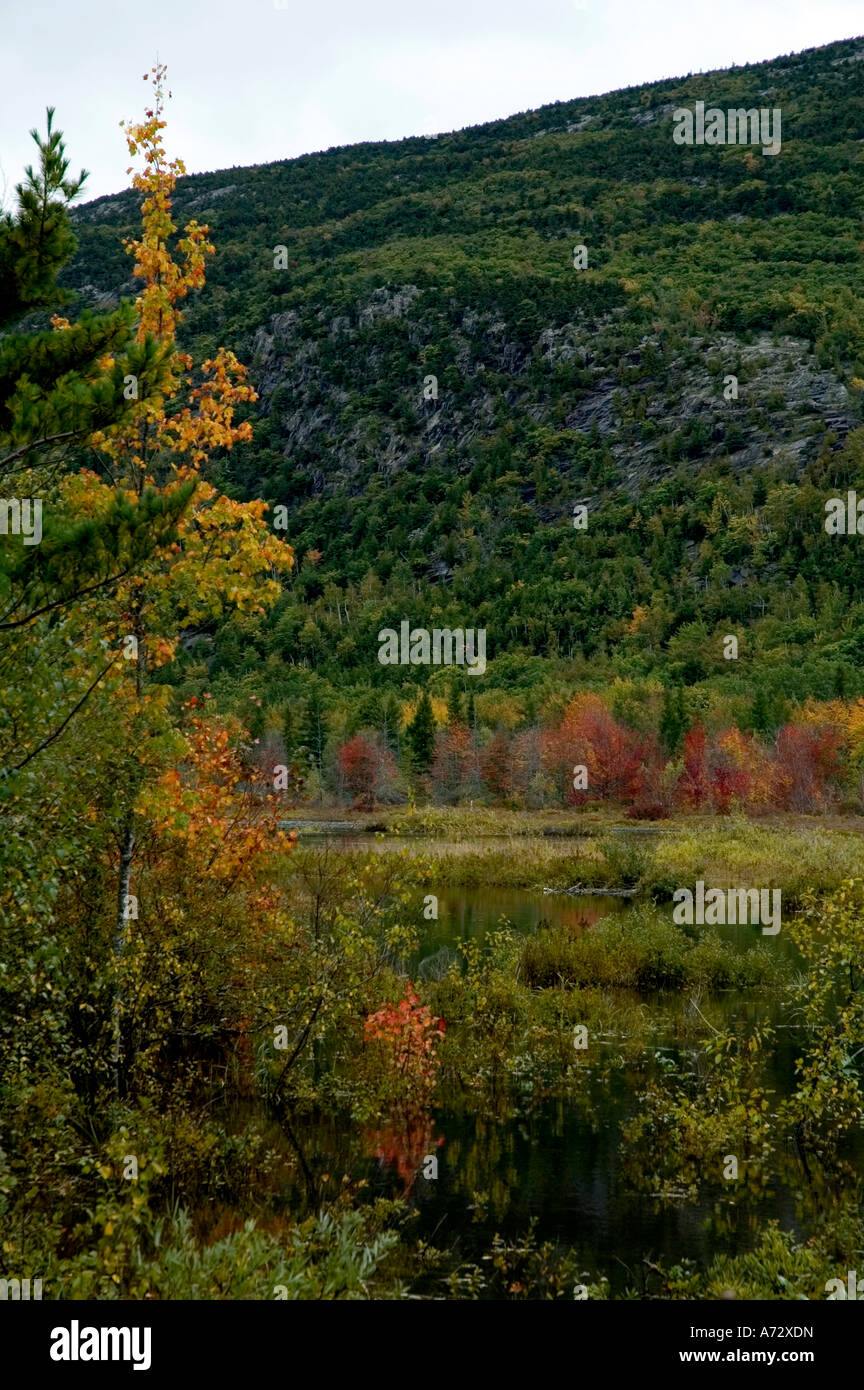 Herbst Farbe in der Nähe von Sieur de Monts Acadia Nat Park ME Stockfoto