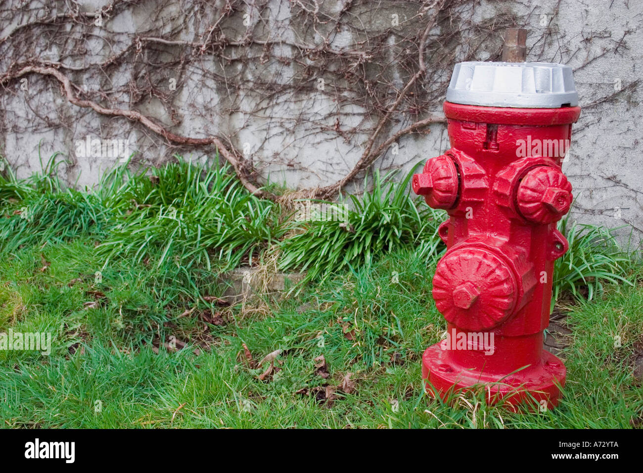Einen hellen roten Hydranten gegen eine Steinmauer Stockfoto